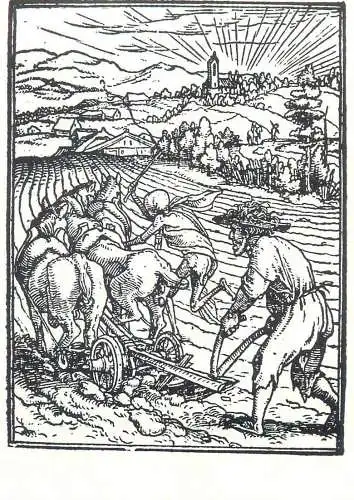 Paintings postcard Hans Holbein Der Ackermann Hozschnitt