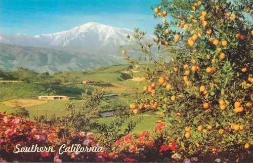 Southern California scenery