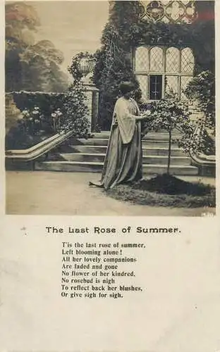 vintage Postcard poetry lyrics the Last Rose of Summer elegant lady in garden