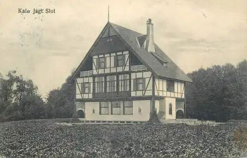 vintage Postcard Denmark Kalo Jagt Slot