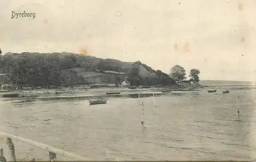 vintage Postcard Denmark Dyreborg
