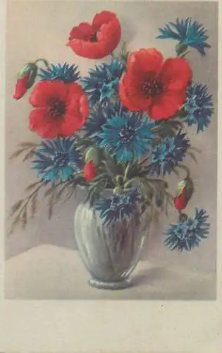Flowers vase poppies topical bouquet fleurs