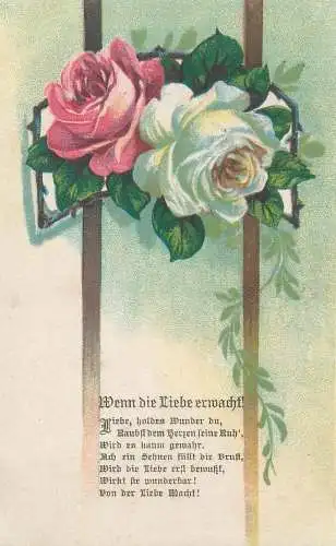 Roses & love poem Wenn die Liebe erwacht