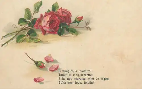 Red roses hungarian love poem poetry early greetings postcard