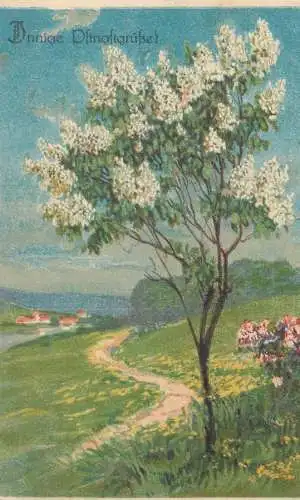 Pentecost greetings lilac tree blossom