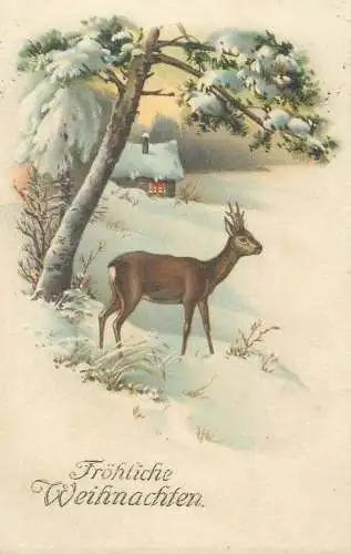 Christmas greetings deer winter snowy scenery