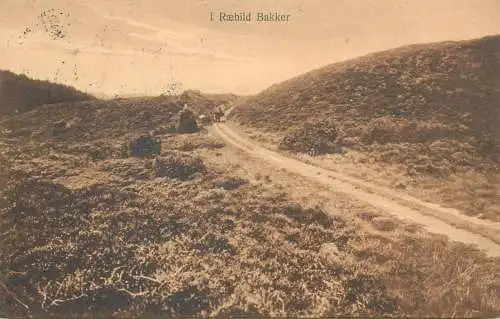 vintage Postcard Denmark Raebild Bakker National Park dirt road