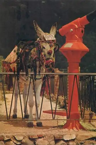 Postcard typical Spain donkey