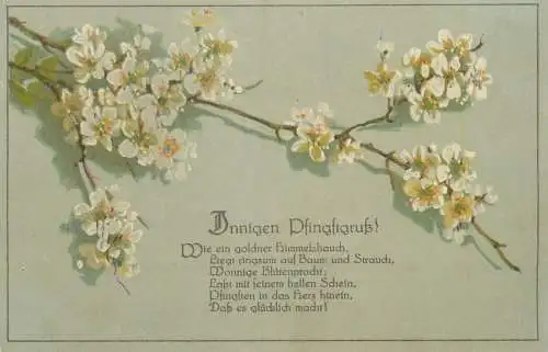 Pentecost greetings postcard flowers blossoms