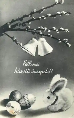 Hungary Easter greetings lapin blossoms bells penciled eggs patterns 1969 postcard