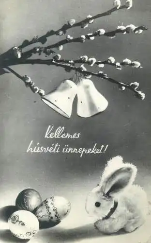 Hungary Easter greetings lapin blossoms bells penciled eggs patterns