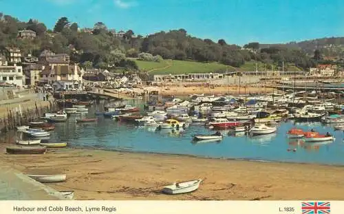 Lyme Regis Harbour and Cobb Beach