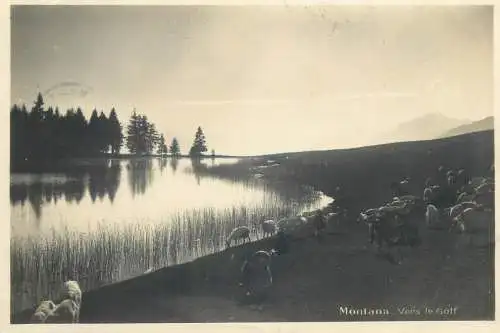 Montana Vermala paturage et lac vers le golf 1928