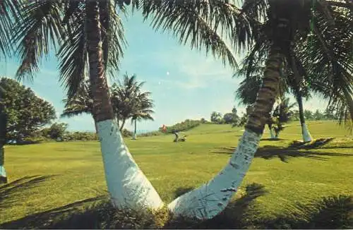 Golfing in the Caribbean West Indies 1978 postcard golf course