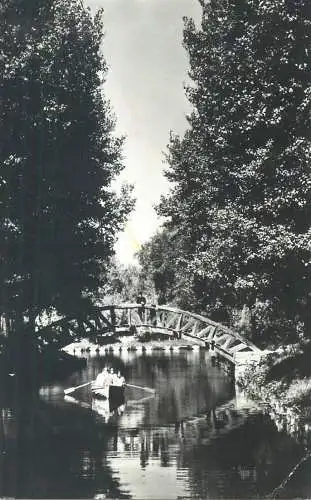 Romania postcard Pitesti Argesul park view 1971
