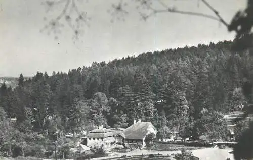 Romania postcard Bazna resort view 1965