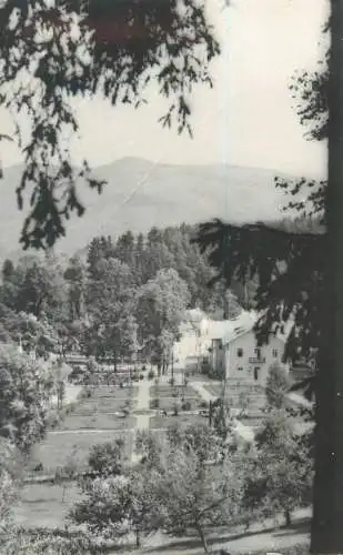 Romania postcard Sangeorz Baths park view