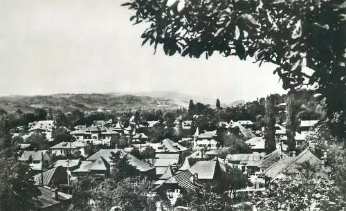 Romania postcard Pucioasa rooftop view 1967