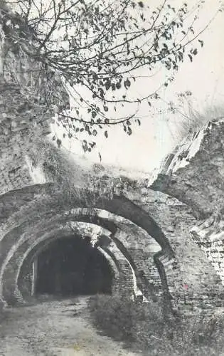 Romania postcard Ada Kaleh citadel ruins sunken city butterfly stamp 1954