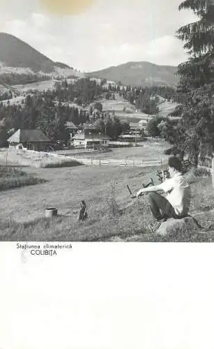 Romania postcard statiunea climaterica Colibita 1963