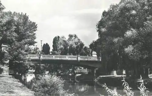 Romania postcard Timisoara bridge over Bega