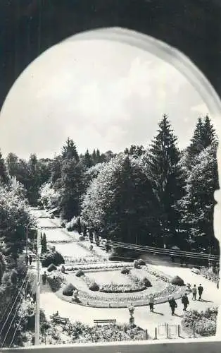 Romania postcard Govora park view 1964