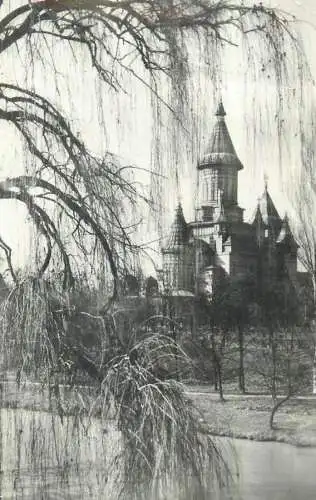 Romania postcard Timisoara Catedrala Mitropoliei