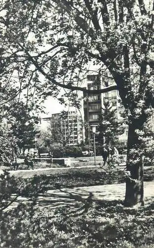 Romania postcard Timisoara view 1970