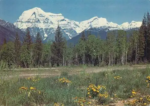 Postcard Canada Mount Robson