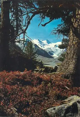 Postcard Switzerland im Rosegtal detail view