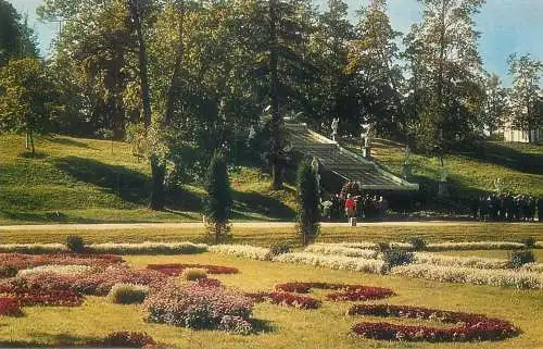 Russia postcard Petrodvorets The Parterre garden and Chessboard hill cascade