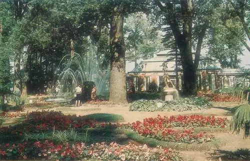 Russia postcard Petrodvorets The garden of the Monplaisir palace and Sheaf Fountain