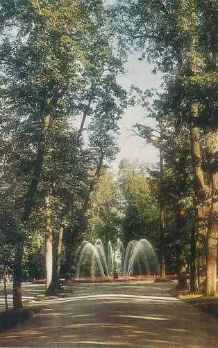 Russia postcard Petrodvorets view to the Eve fountain