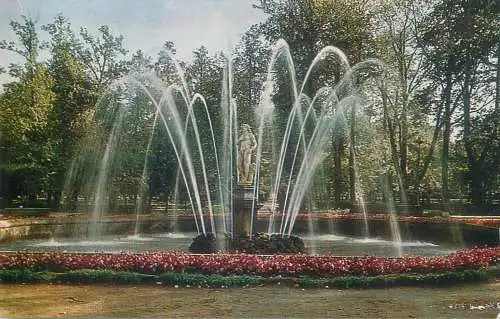 Russia postcard Petrodvorets The Adam fountain