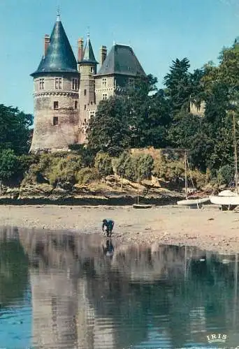 Postcard France Cote de Jade Pornic  Le Chateau