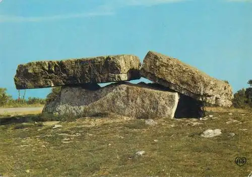 Postcard France Vaour Tarn Le Dolmen