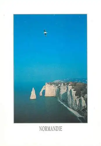 Postcard France Normandy seaside cliffs picturesque scenery