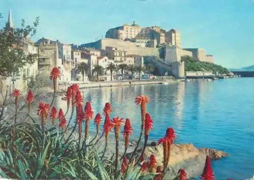 Postcard France Calvi les quais et la cittadelle