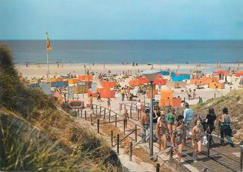 Postcard Netherlands Groeten uit Bergen aan Zee Zuidenstrand littoral types and scenes