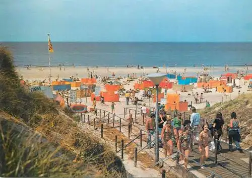 Post card Netherlands Groeten uit Bergen aan Zee Zuidenstrand littoral types and scenes