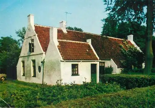 Postcard Netherlands Ameland typical house