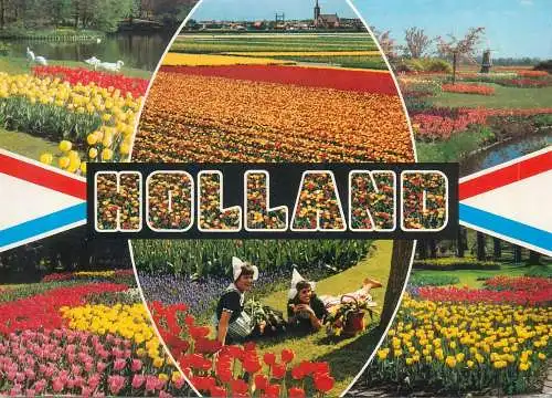 Postcard flower decoration Netherlands tulips multi view