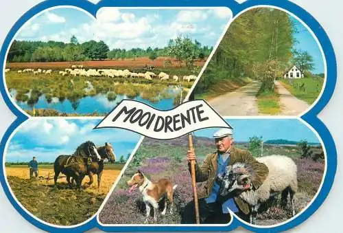 Postcard Netherlands Mooi Drenthe multi view rural life animals