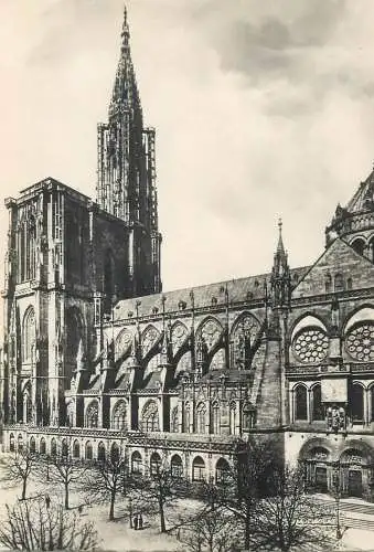 Postcard France Strasbourg la Cathedrale