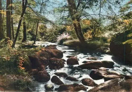 Postcard France Huelgoat La Riviere d'Argent paysage pittoresque