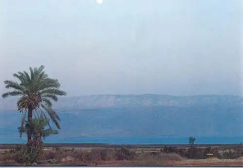 Israel Jericho postcard the dead sea