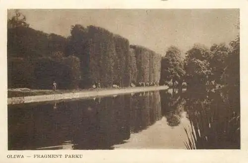 Poland postcard Oliwa Fragment Parku
