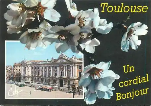 Postcard France Toulouse place du Capitole