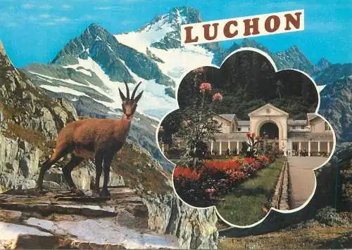 Postcard France Luchon thermal resort mountain deer mountain scenery
