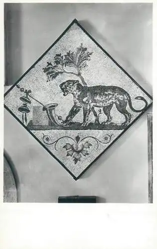 Naples national museum Pompei mosaic - Pantera